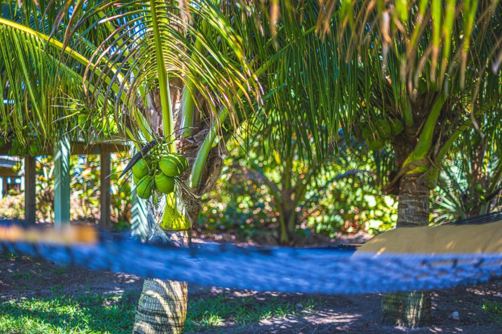 Tranquility Seahorse Suite - Oceanfront Paradise! Melbourne Beach Exterior foto
